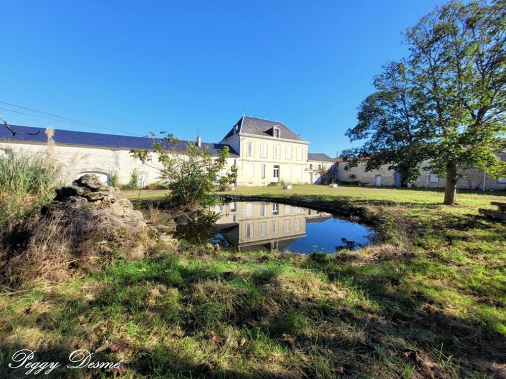 Propriété à vendre 14 pièces SAINT JEAN D'ANGELY (17) - Ancien domaine viticole, Bâti de 940 m2, Maison de maître, Dépendances