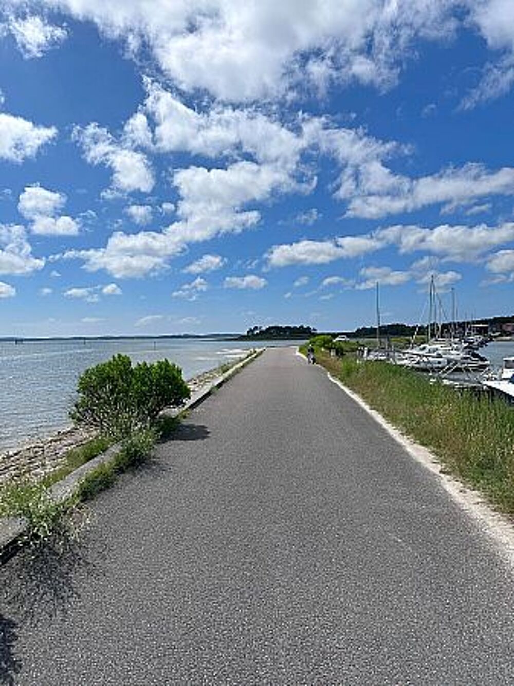 Vente Terrain Terrain(terrain) - 403m2 Andernos les bains