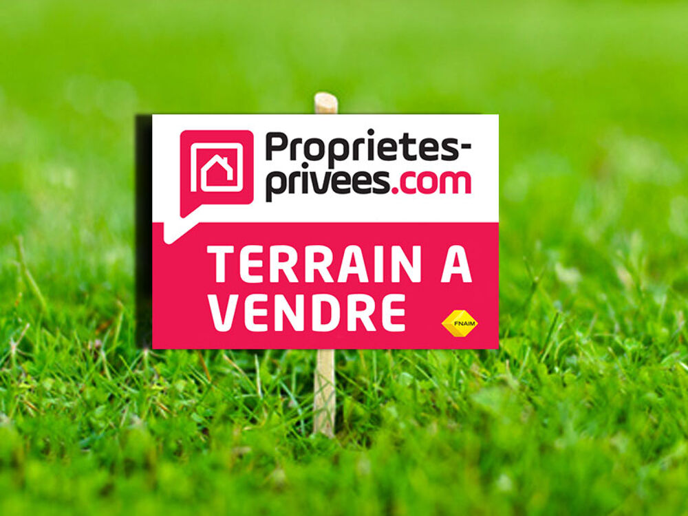 Vente Terrain EXCLUSIVITE Terrain constructible  586 m2 Chadenac