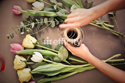 Commerces/Negoce 54000 29200 Brest