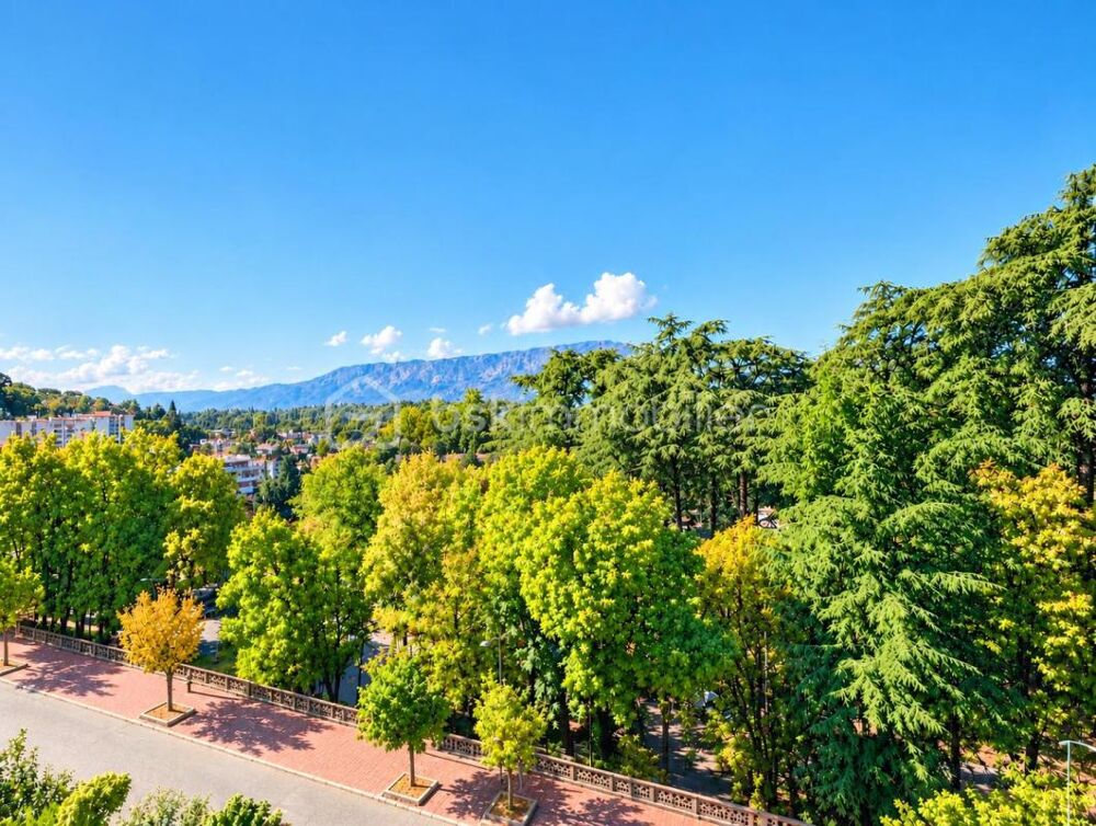Vente Appartement Charmant et lumineux studio avec balcon proche hyper centre Aix les bains