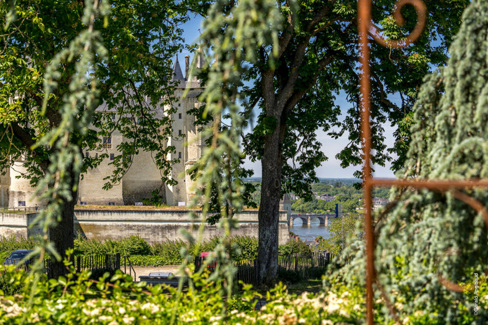 � vendre  Propri�t�/ch�teau Saumur (49400)