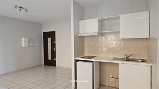  Appartement à louer 1 pièce 24 m²