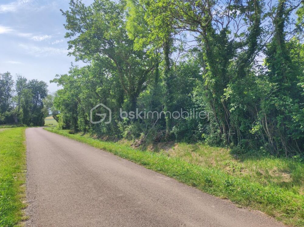Vente Terrain ? Terrain constructible de 3 630 m² – Cadre boisé et environnement privilégié Saint florentin