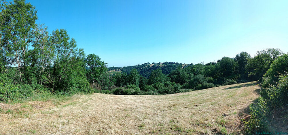 Vente Terrain Terrain 4580m2 SAUVIAT-63120 secteur très calme et naturel Sauviat