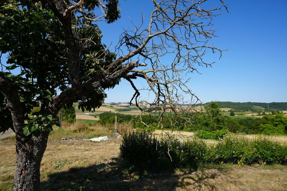 Vente Maison Maison à rénover sur 38650m² de terrain à 1h de Bordeaux , 3h30 de Paris - CLAIRAC (47) Clairac