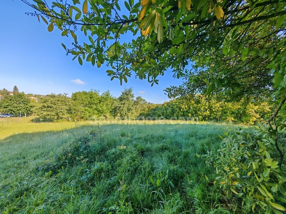 Vente Terrain Terrain constructible de 1 650,00 m² situé à EAUZE (32) Eauze