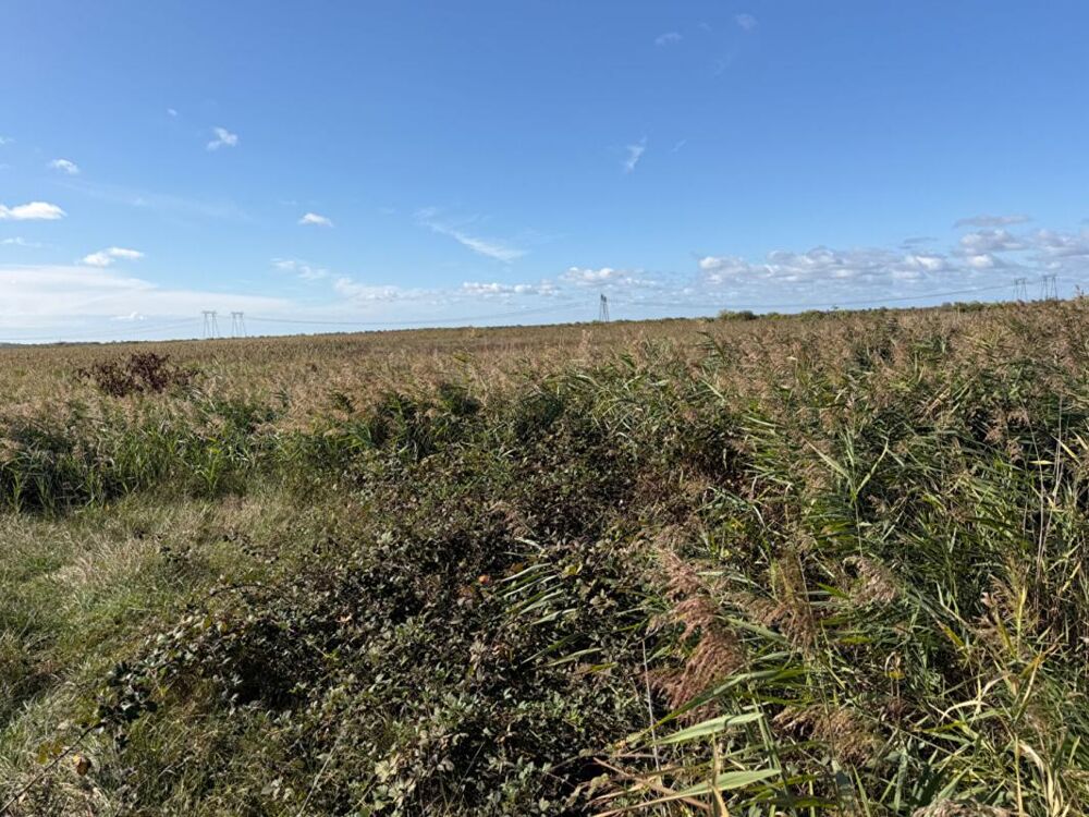 Vente Terrain Terrain agricole de 10 hectares Braud et saint louis
