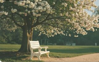  Appartement � vendre 3 pi�ces 62 m�