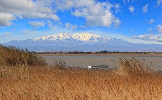  Immeuble � vendre 15 + pi�ces 329 m�