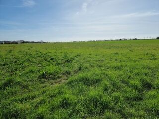  Terrain  vendre 466 m