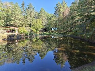  Propriété/château à vendre 9 pièces 230 m²