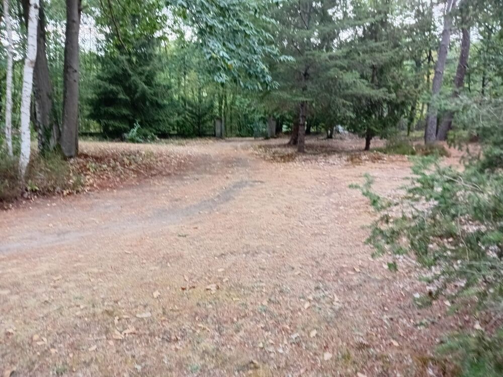 Maison sur un terrain de 4 000 m²  DOLLON