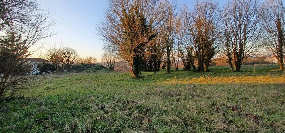 Vente Terrain Exceptionnel Terrain   btir de 4912 m Fontenay le comte