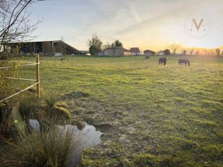  Propri�t�/ch�teau � vendre 6 pi�ces 118 m�