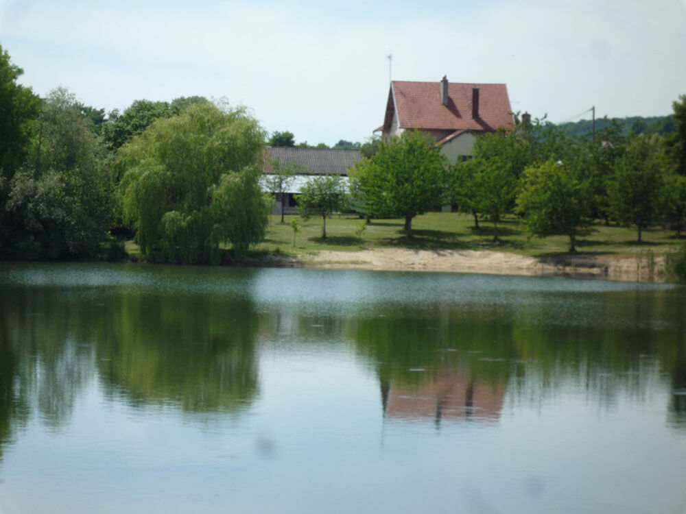 Vente Propriété/Château Chassemy (02) à vendre superbe propriété de 320 m2 sur un terrain  clos de 5 ha avec étang de 2 ha Chassemy