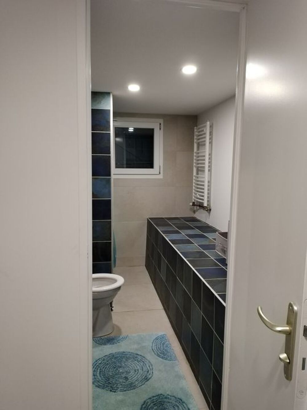 Location Appartement Studio de 45m2 à louer sur Oullins Oullins