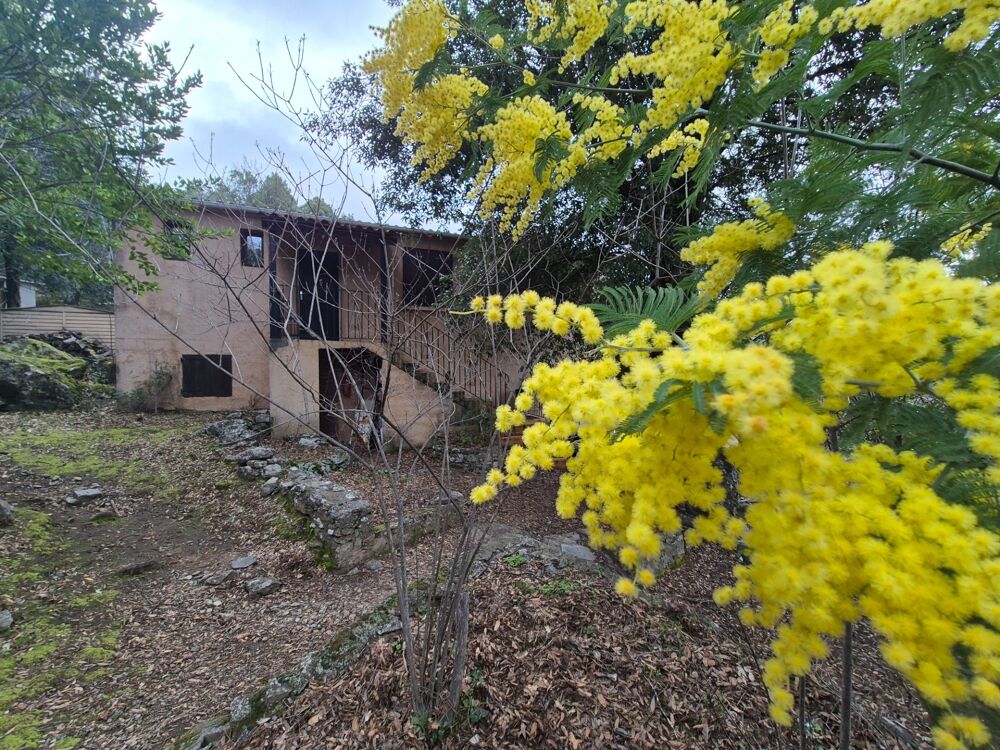 Vente Propriété/Château Propriete à vendre 7 pièces CORTE (20) Corte