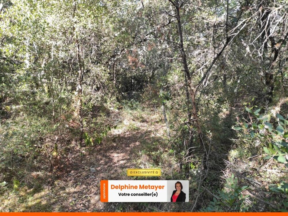 Vente Terrain Rare : Ensemble de 1,6 Ha en zone AOC – Idéal projet vigne ou agricole Le thoronet