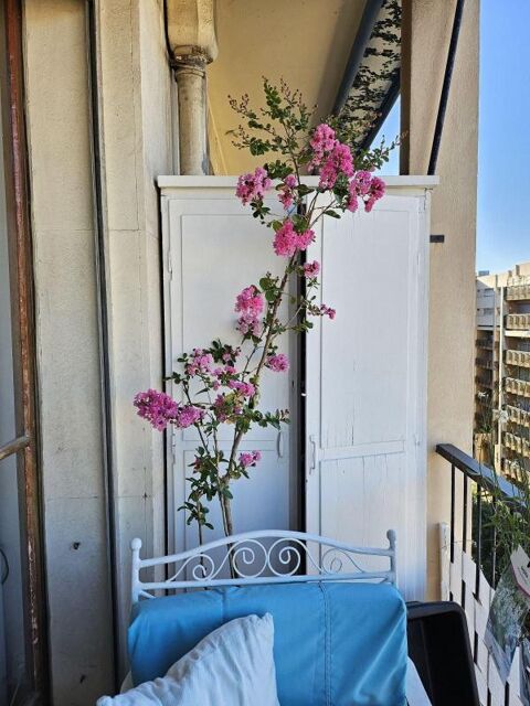  Appartement � louer 1 pi�ce 18 m�