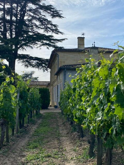   Excellence à Saint-Émilion : Domaine viticole prestigieux avec résidence d'exception 