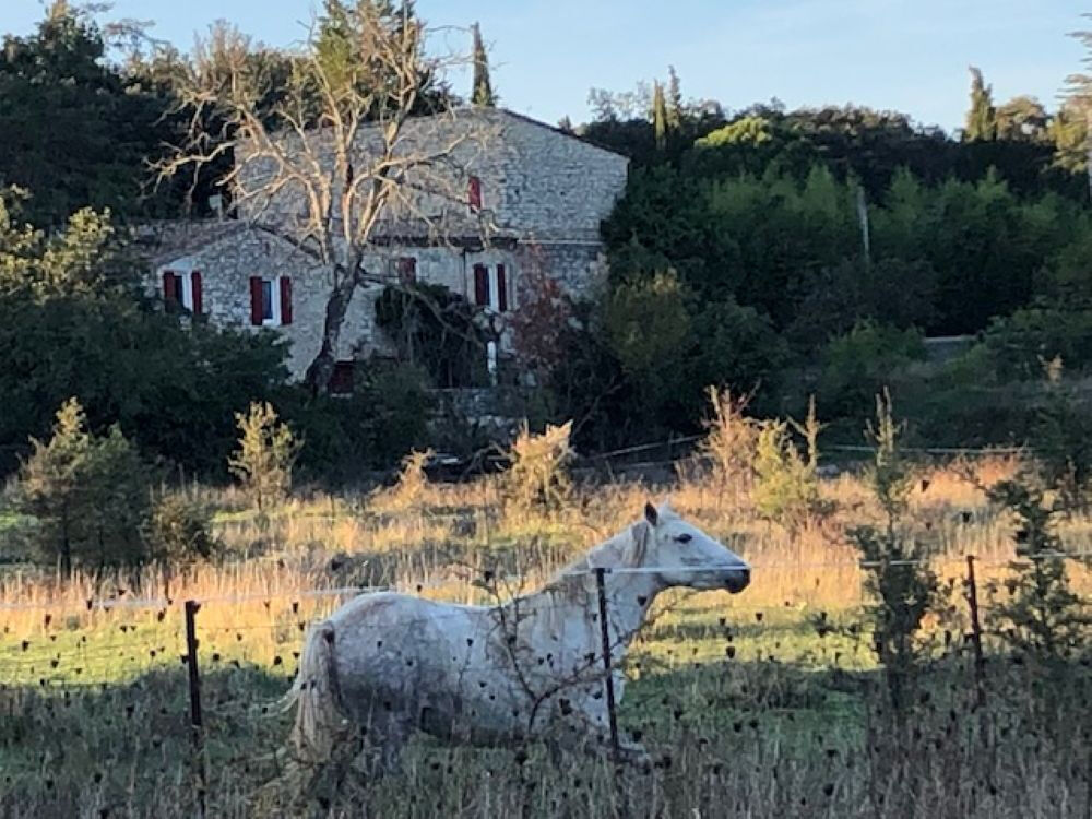 TORNAC, Demeure de prestige de plus 20 pièce(s) 750 m2 sur environ 7 Hectares