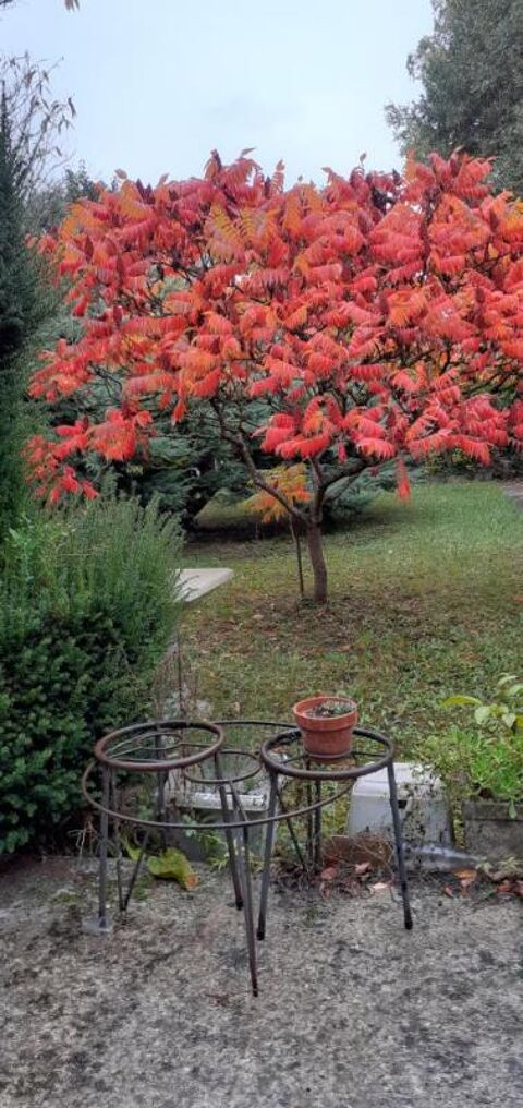  Appartement � louer 1 pi�ce 13 m�