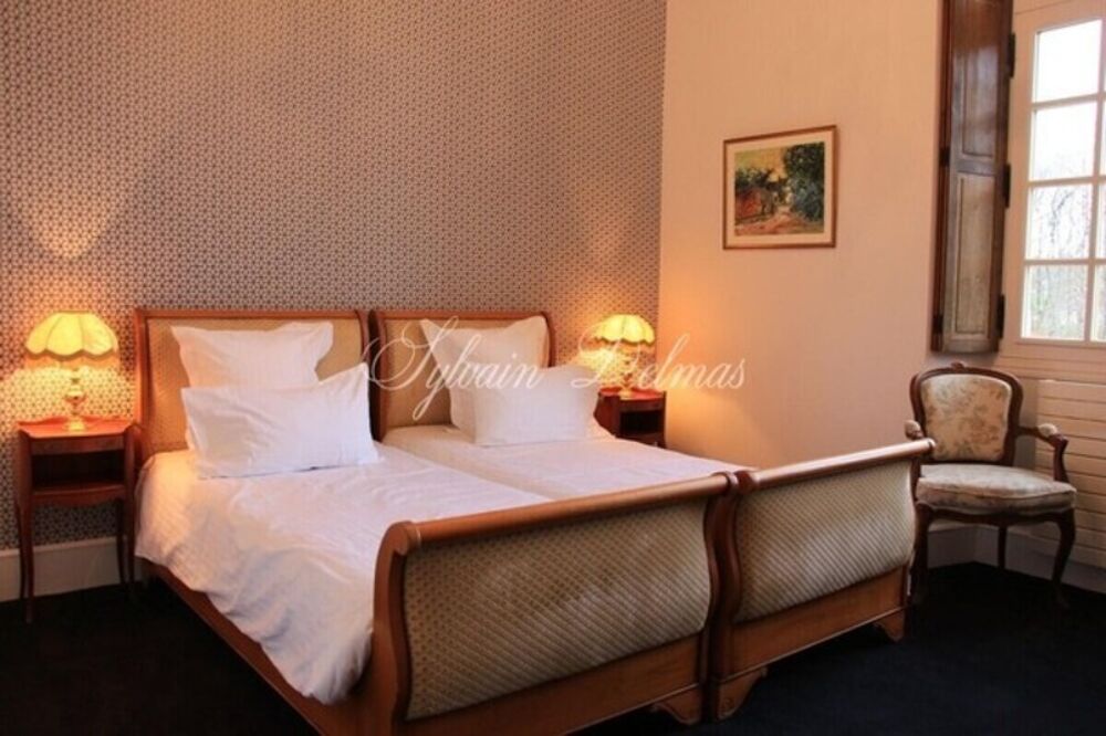 � vendre  Propri�t�/ch�teau Amboise (37400)