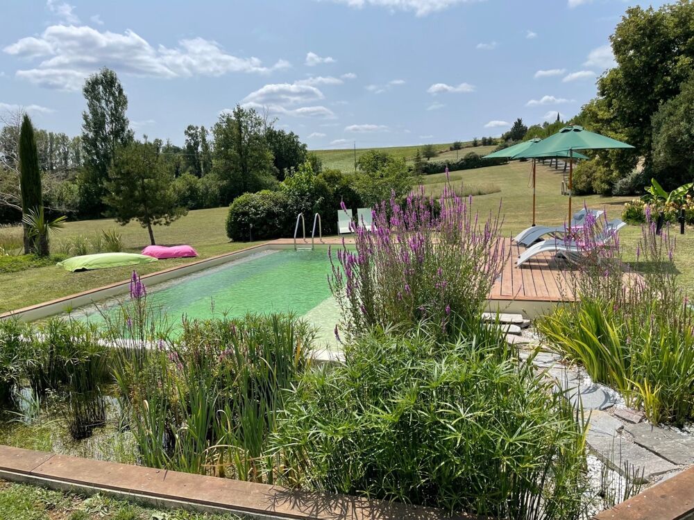 à vendre  Propriété/château Fénols (81600)