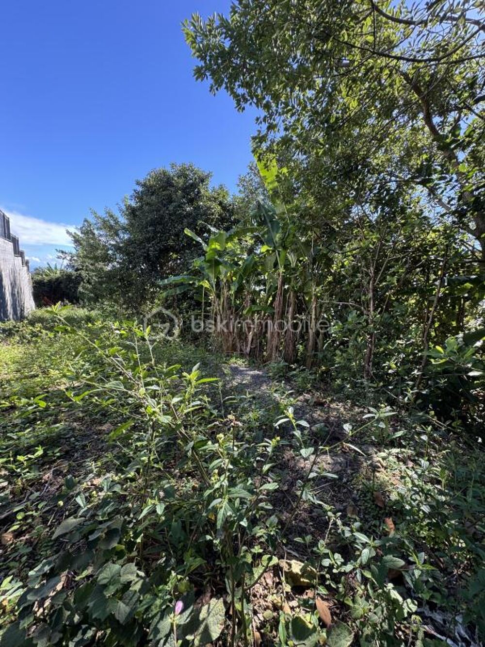 Vente Terrain Un terrain d'exception dans un cadre privilégié ! Saint denis