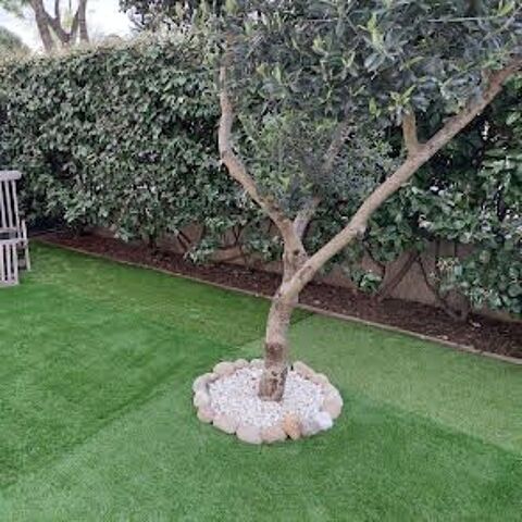  Appartement � louer 3 pi�ces 55 m�