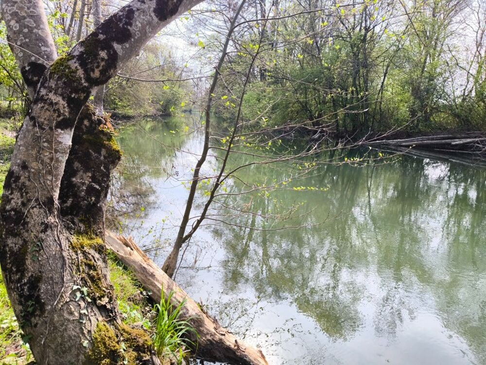 Vente Terrain Terrain non constructible bordure Charente à vendre  VARS (16) Vars