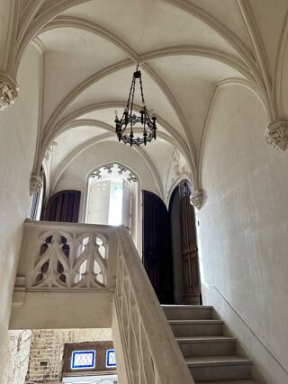  Propri�t�/ch�teau � vendre 15 + pi�ces 480 m�