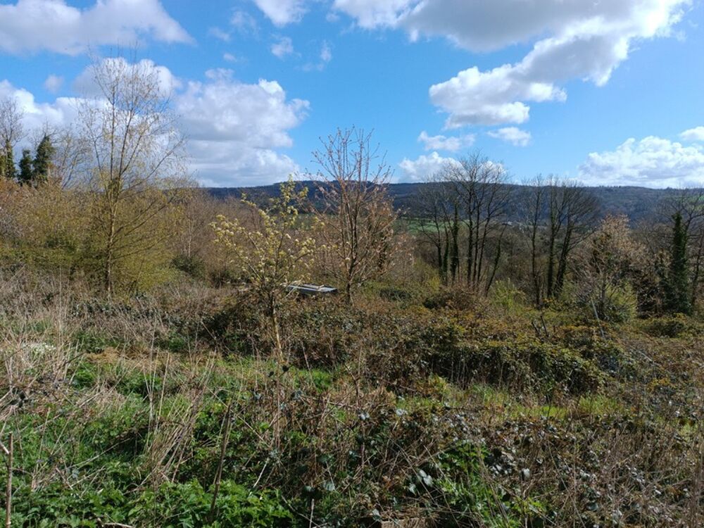 Vente Terrain Terrain à vendre  7 578 m² CHATEAUNEUF DU FAOU (29) Chateauneuf du faou
