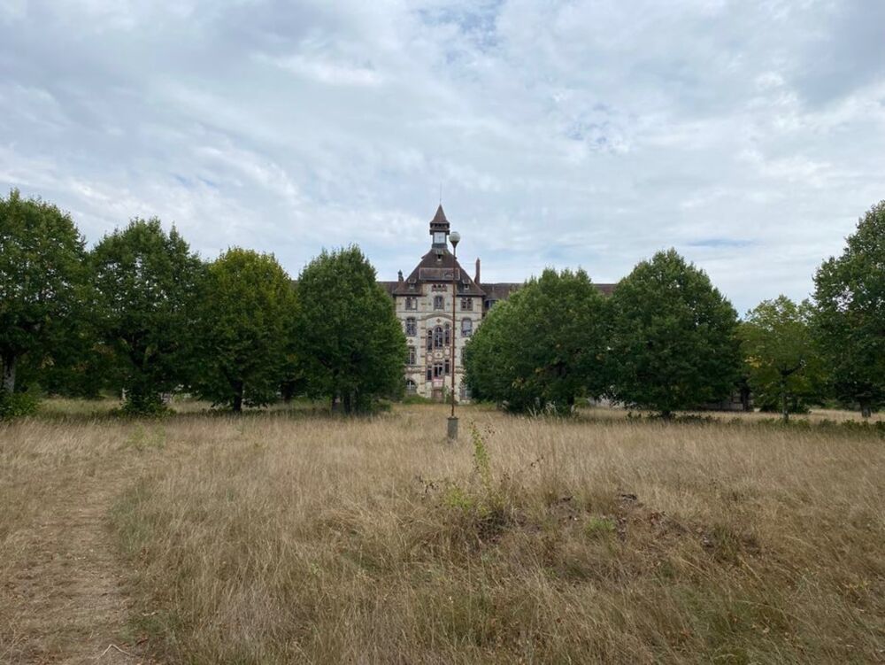 à vendre  Propriété/château Tours (37000)