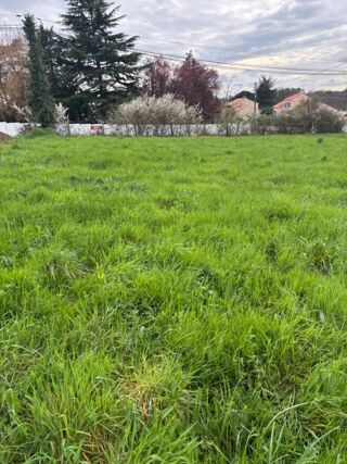  Terrain � vendre 