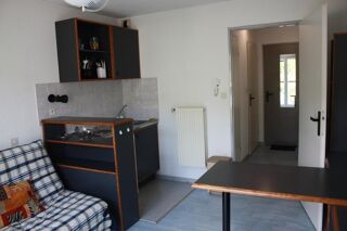  Appartement à louer 1 pièce 19 m²