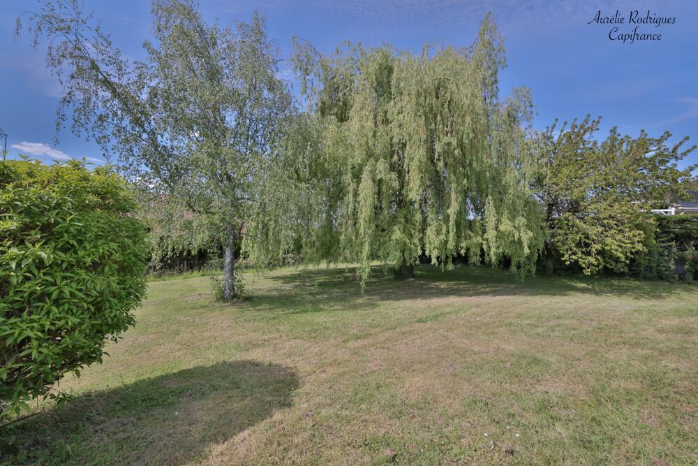 Maison à vendre 5 pièces FEILLENS (01)