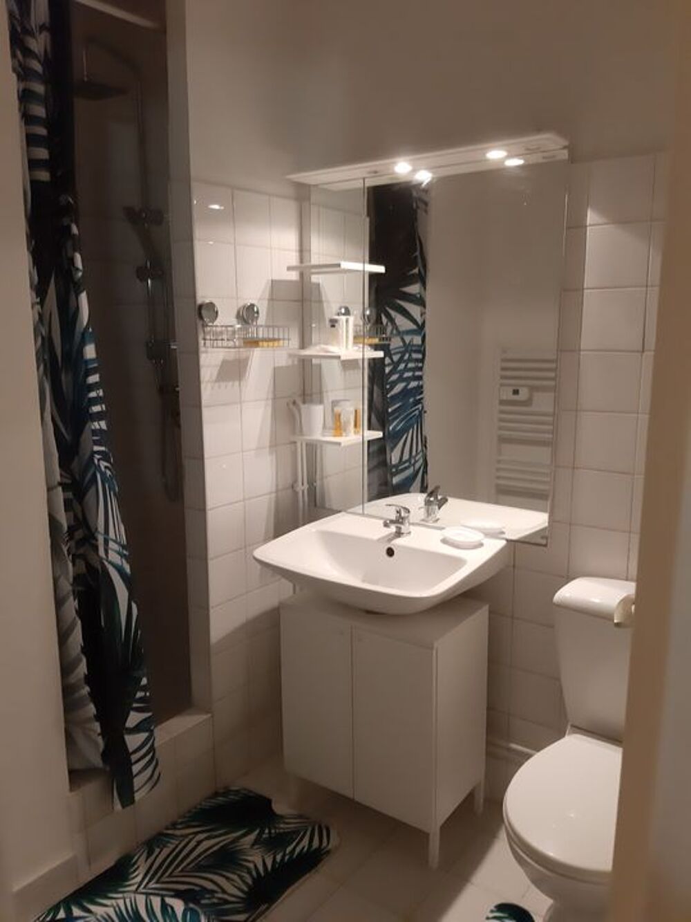 Location Appartement Studio de 18m2 à louer sur Lyon 05 Lyon 5