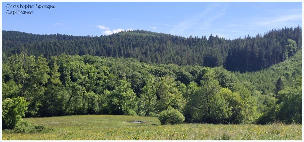 Vente Propriété/Château Propriete à vendre 5 pièces ARCONSAT (63) Arconsat