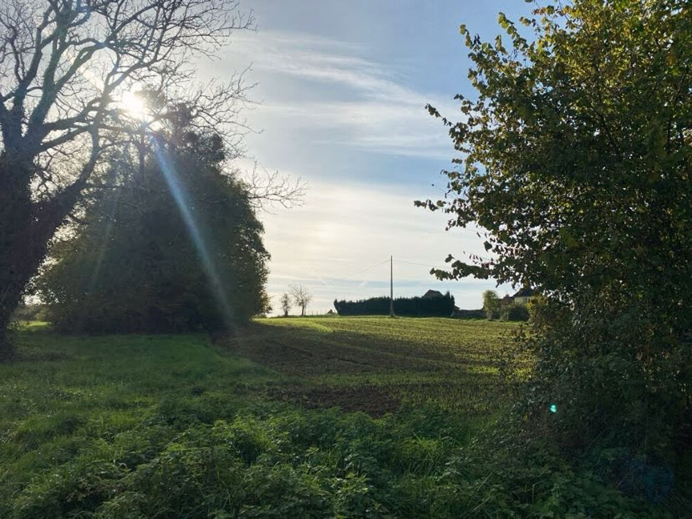 Vente Maison Maison Lanouaille 1 pièce(s) 50 m2 Lanouaille