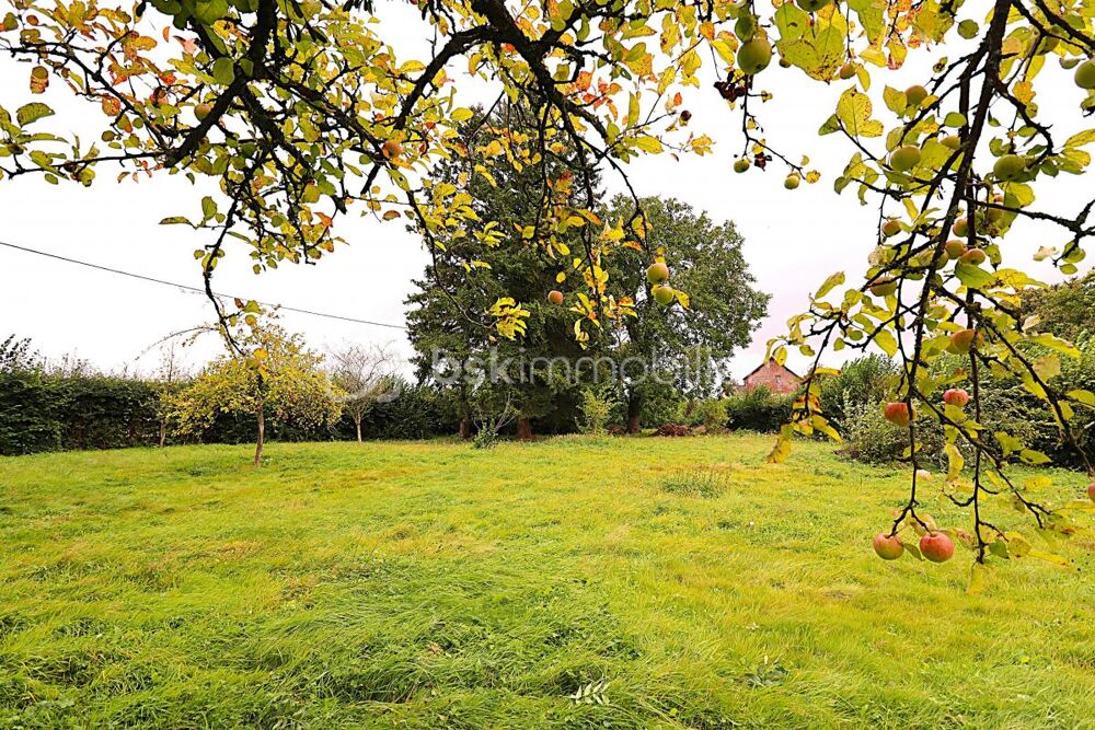 Vente Terrain ABANCOURT - GRAND TERRAIN À BÂTIR  2258 m² - PLAT ET ARBORÉ Abancourt