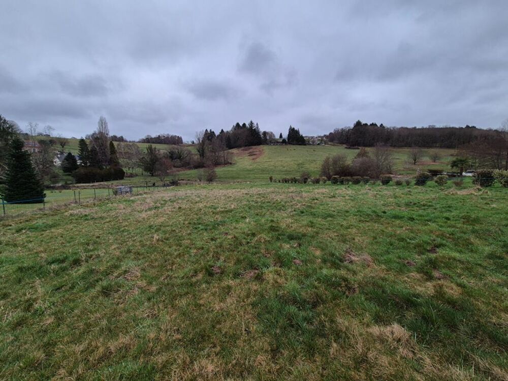 Vente Terrain Terrain constructible  2662 m²  19490 Sainte Fortunade Sainte fortunade