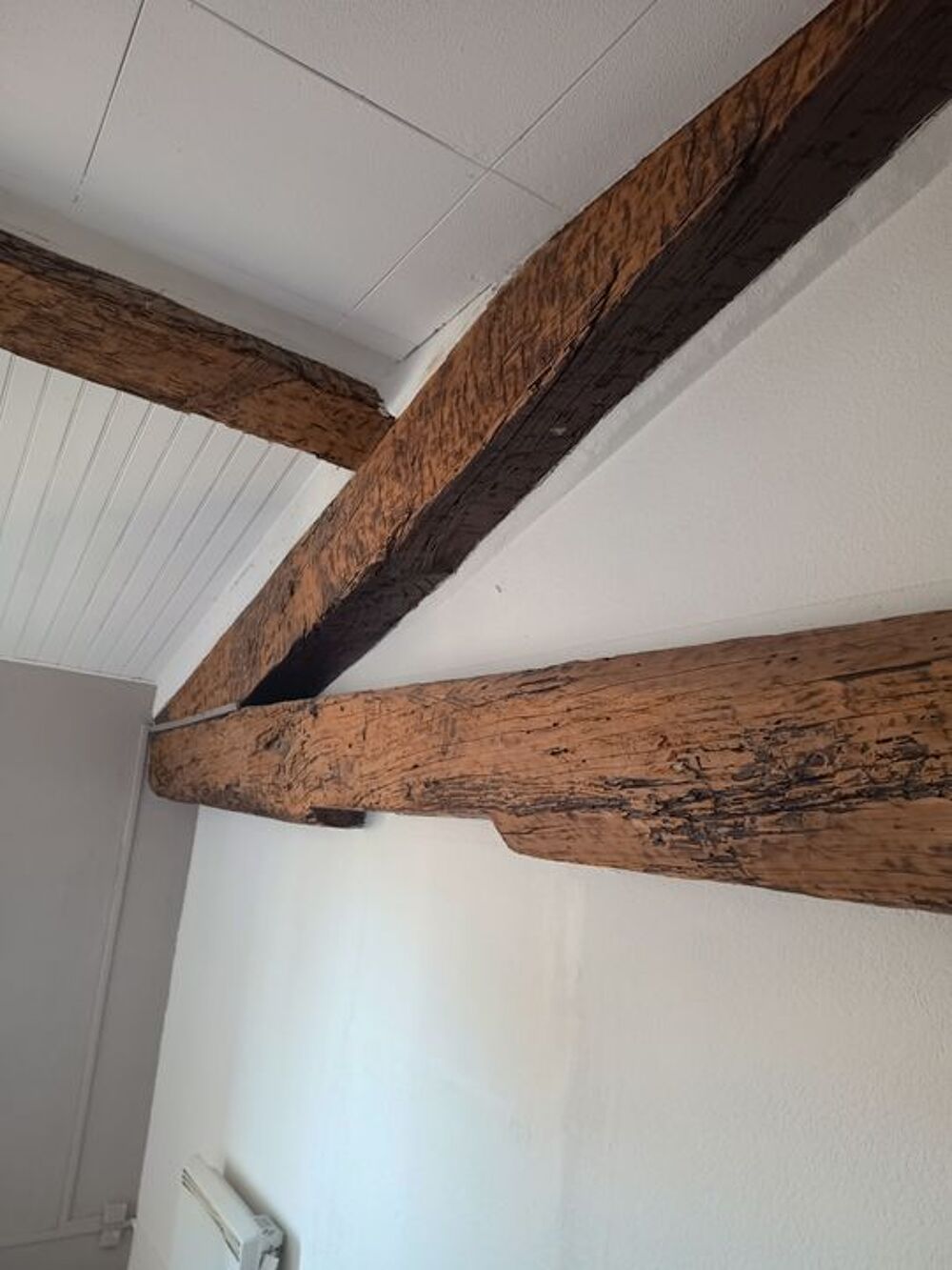 Location Appartement Appartement de 40m2 à louer sur Béziers Beziers