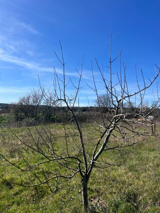  Terrain � vendre 2600 m�