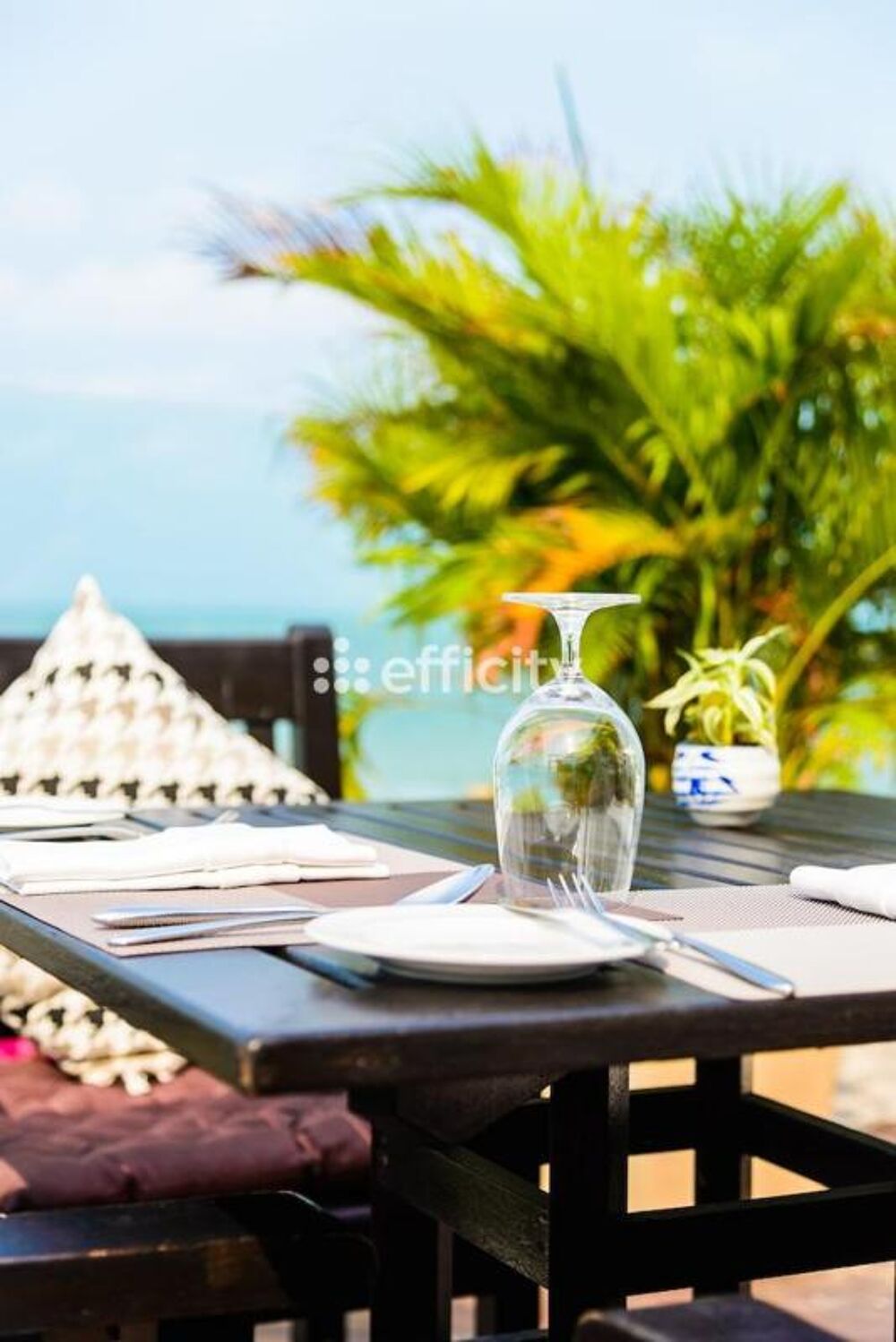   Commerces/Negoce 