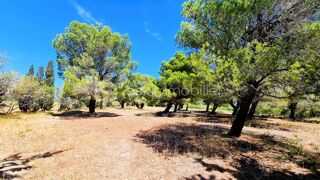  Propri�t�/ch�teau � vendre 9 pi�ces 299 m�