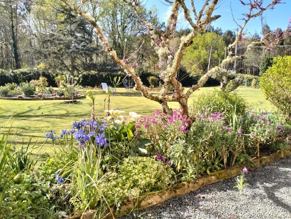Location Maison Maison de 110m2 à louer sur Vendays-Montalivet Vendays montalivet