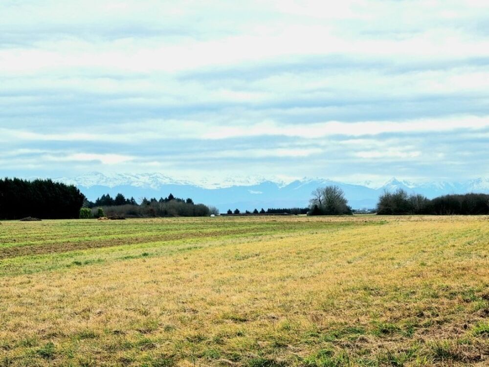 Vente Terrain Dpt  (65),  vendre  Bordres-sur-echez, terrain constructible - Terrain de 1 200,00 m Borderes sur l echez