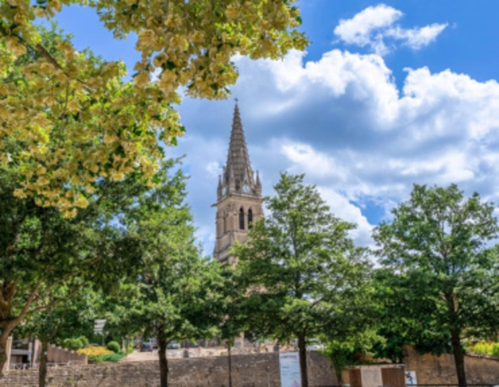 � vendre  Appartement Saint-Didier-au-Mont-d'Or (69370)